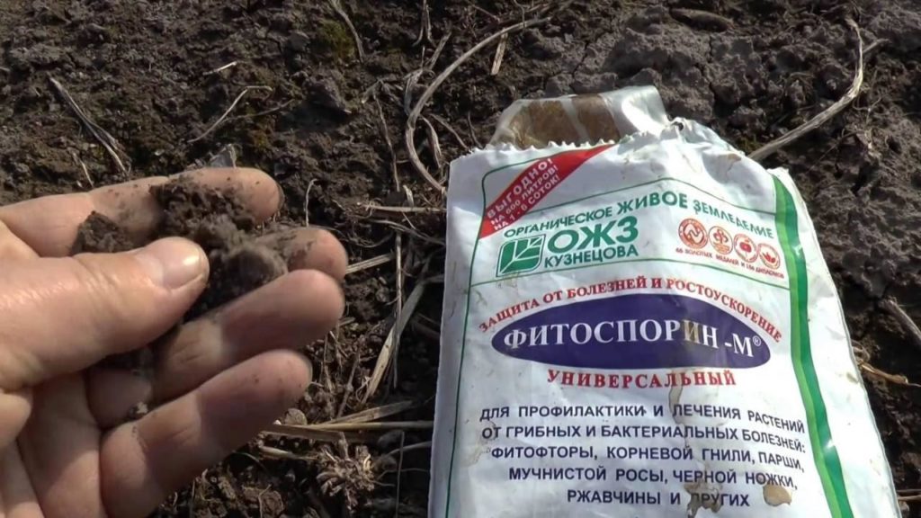 kak-obezzarazit-pochvu-ot-boleznej